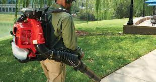 RedMax Back Pack Blower EBZ8550