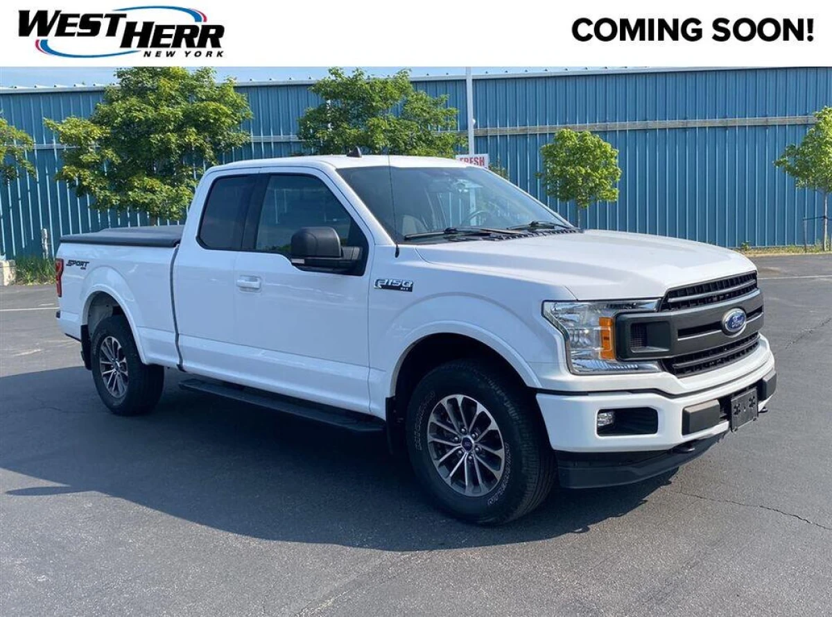 Pre-Owned 2019 Ford F-150 XLT