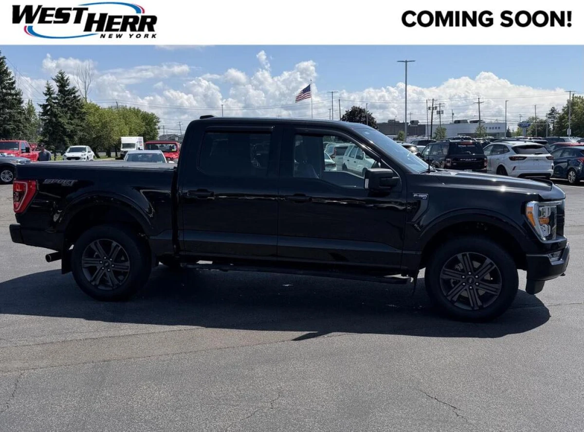 Pre-Owned 2023 Ford F-150 XLT